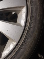 IMG_20231108_204824.jpg