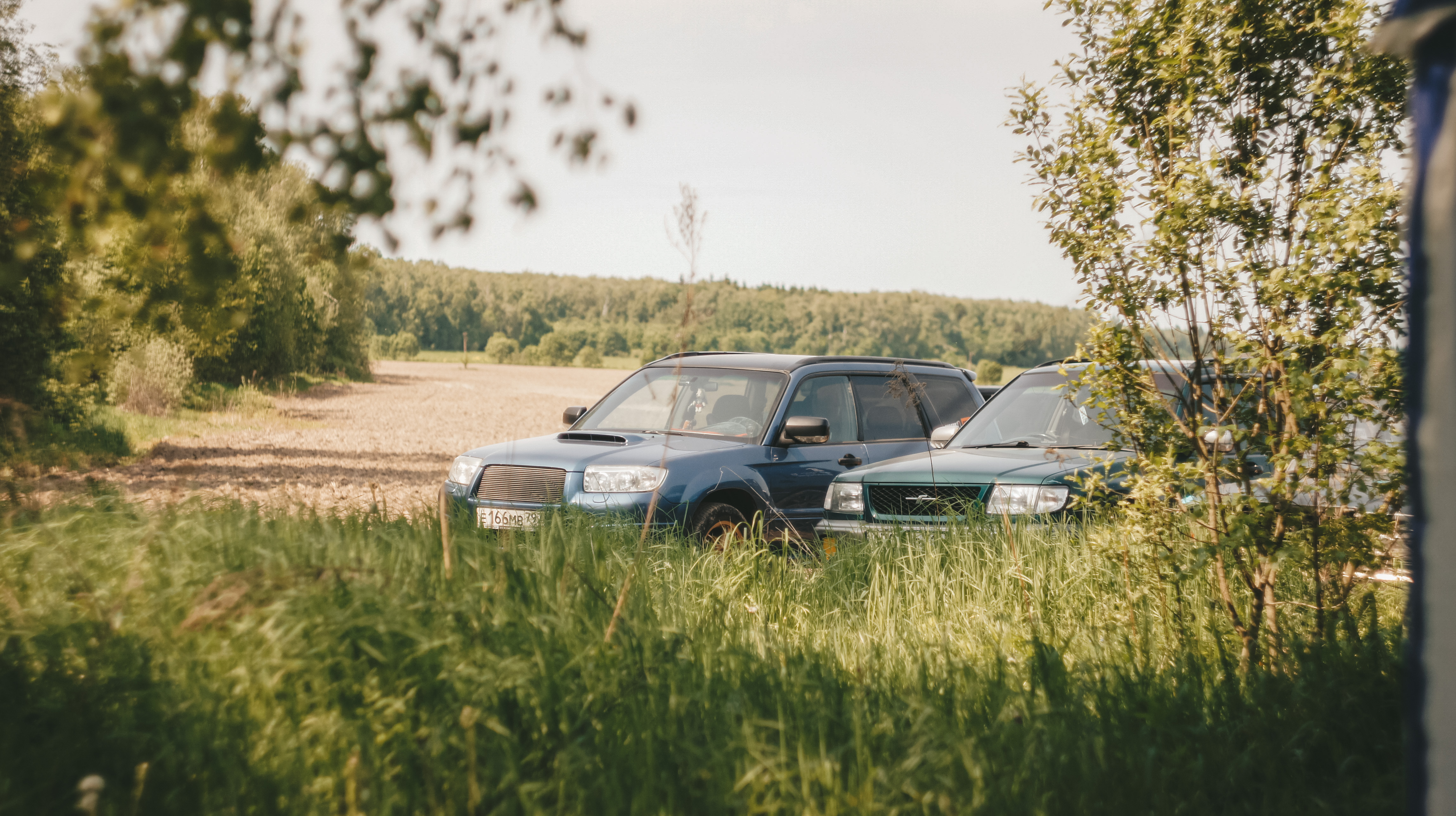 _DSC8754.JPG